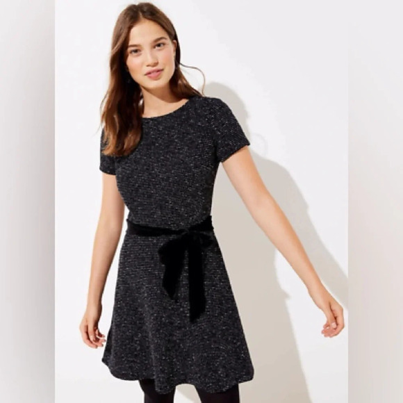 LOFT | Sparkle Textured Fit & Flare Velvet Belted Short Sleeve Holiday Dress - Picture 1 of 8
